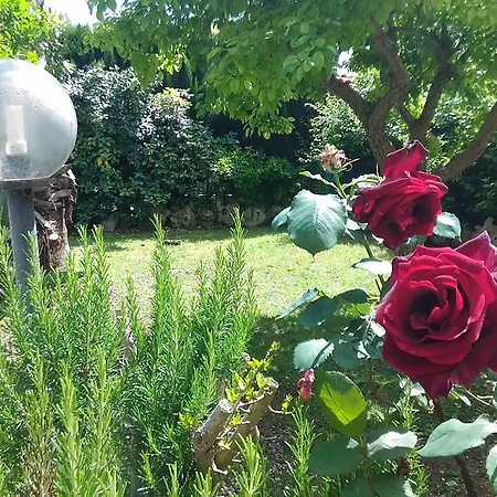 Il Viale Bed & Breakfast