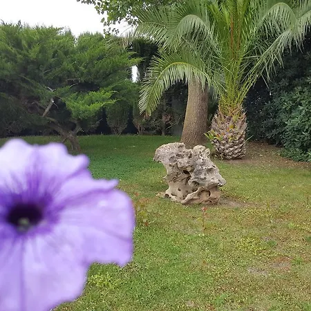 Il Viale Alghero