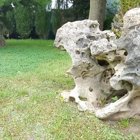 Il Viale *